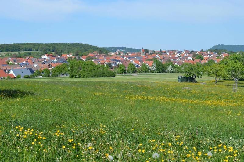 Ferienwohnung Alb-Traum Erkenbrechtsweiler Exteriér fotografie