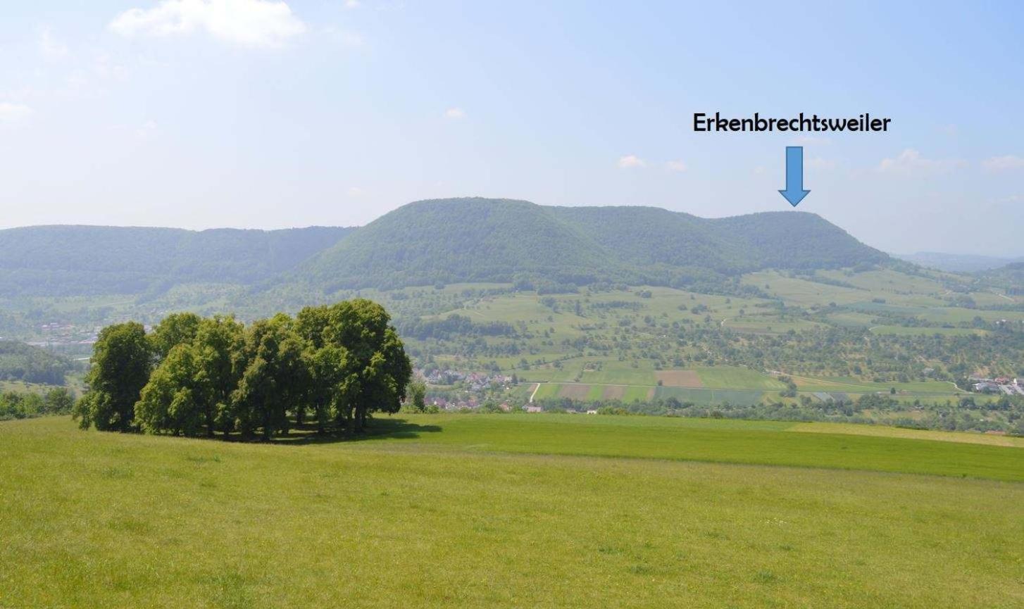 Fewo-Alb-Traum Erkenbrechtsweiler Exteriér fotografie