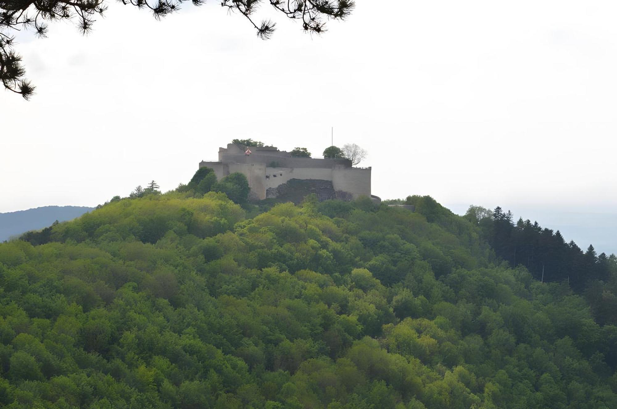 Fewo-Alb-Traum Erkenbrechtsweiler Exteriér fotografie