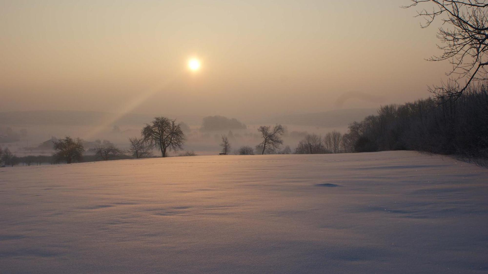 Fewo-Alb-Traum Erkenbrechtsweiler Exteriér fotografie